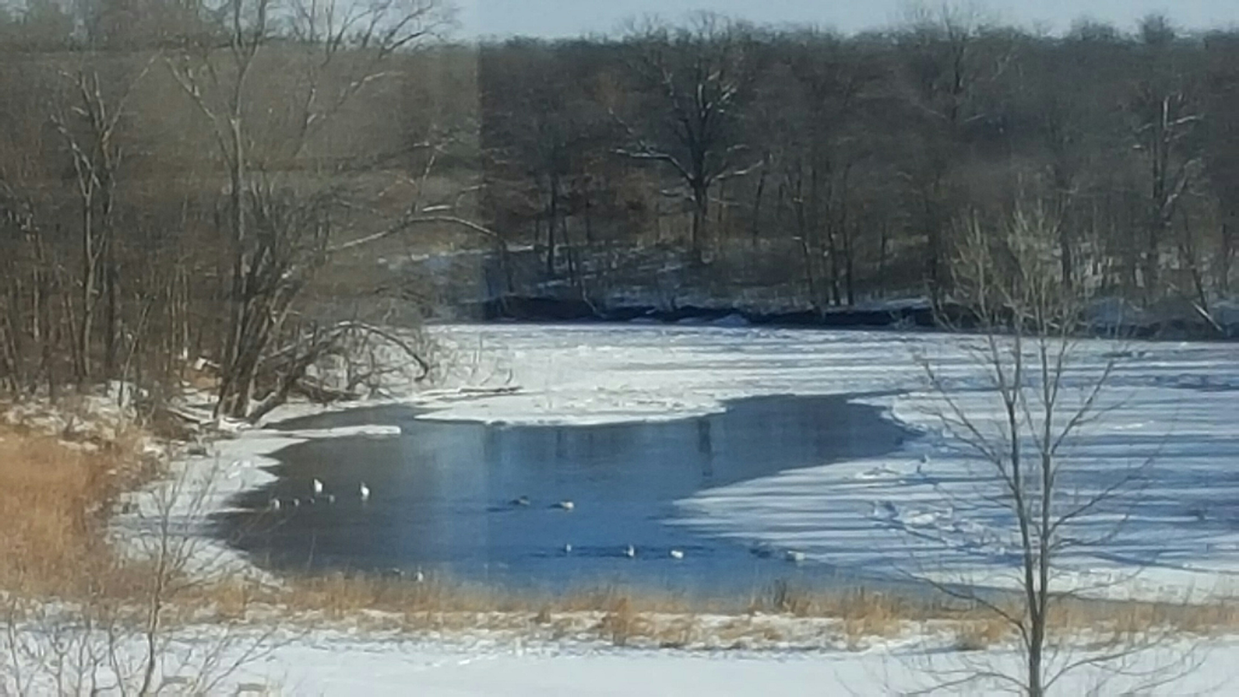 20160112_113459_resized