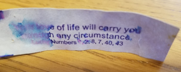 fortune cookie